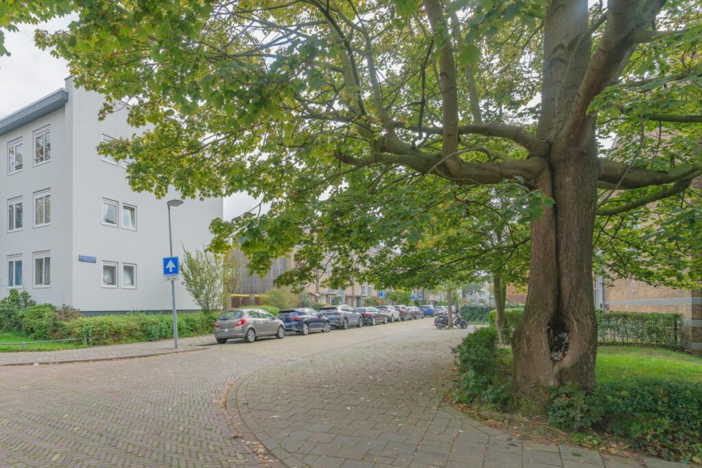 Oudaenstraat 12
